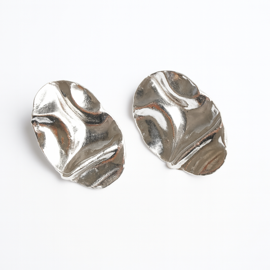 Pair of silver earrings on a white background
